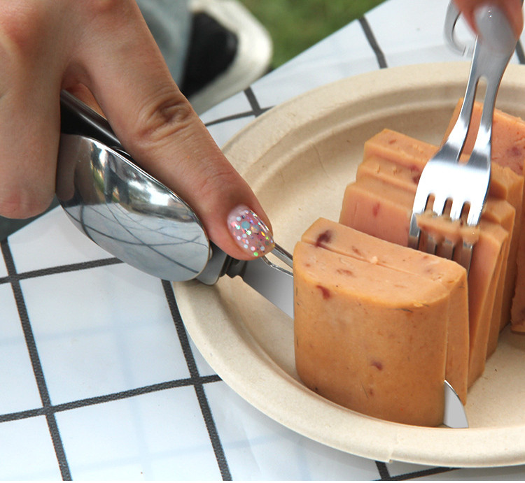 Multi-function Camping Fork Sp - Camping Cooking Kit Box review and price