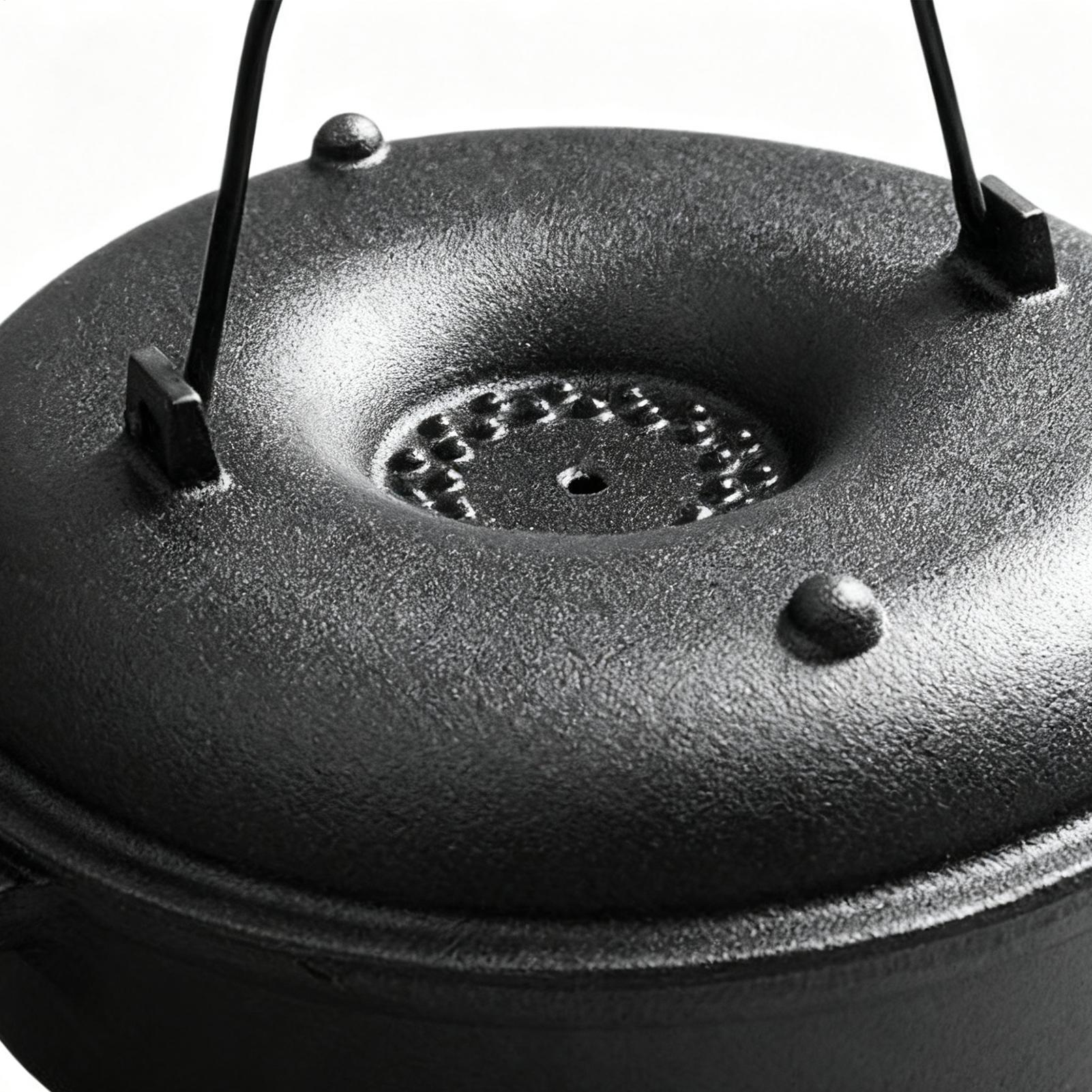 Cauldron Pot for Cooking Non-S - Camp Dutch Oven Cast review and price
